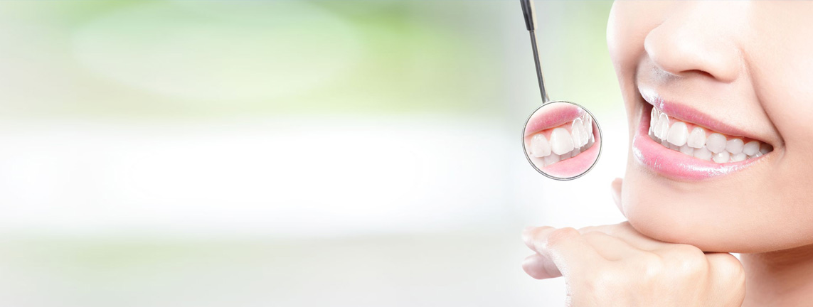 banner1